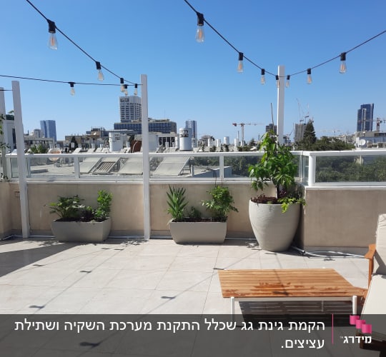 עציצים עם צמחים ירוקים על מרפסת עירונית